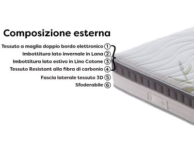 Athena-immagine-04