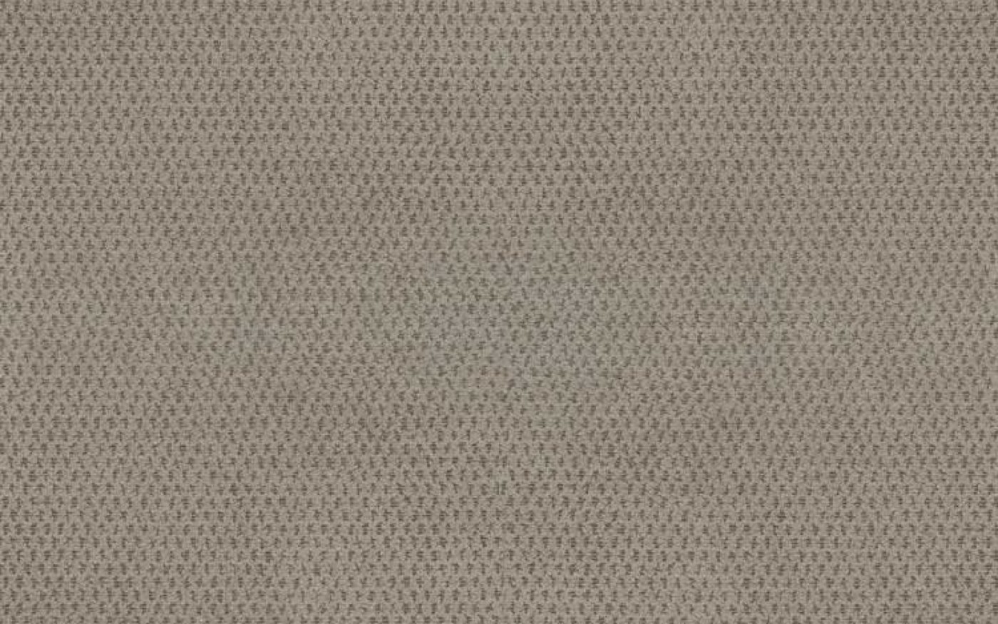 Vellutato Sabbia V02