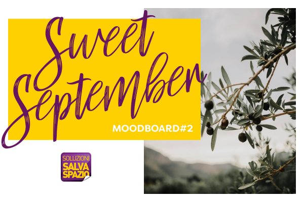 Come arredare una mansarda: i consigli per ottimizzare gli spazi